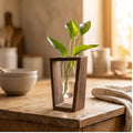 Retro color Modern Wood Propagation Vase - Minimalist Hydroponic Planter for Home & Office Decor lifestyle photo