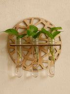 Harmon Geometric Wall-Mount Wood Plant Propagation Vase Rack