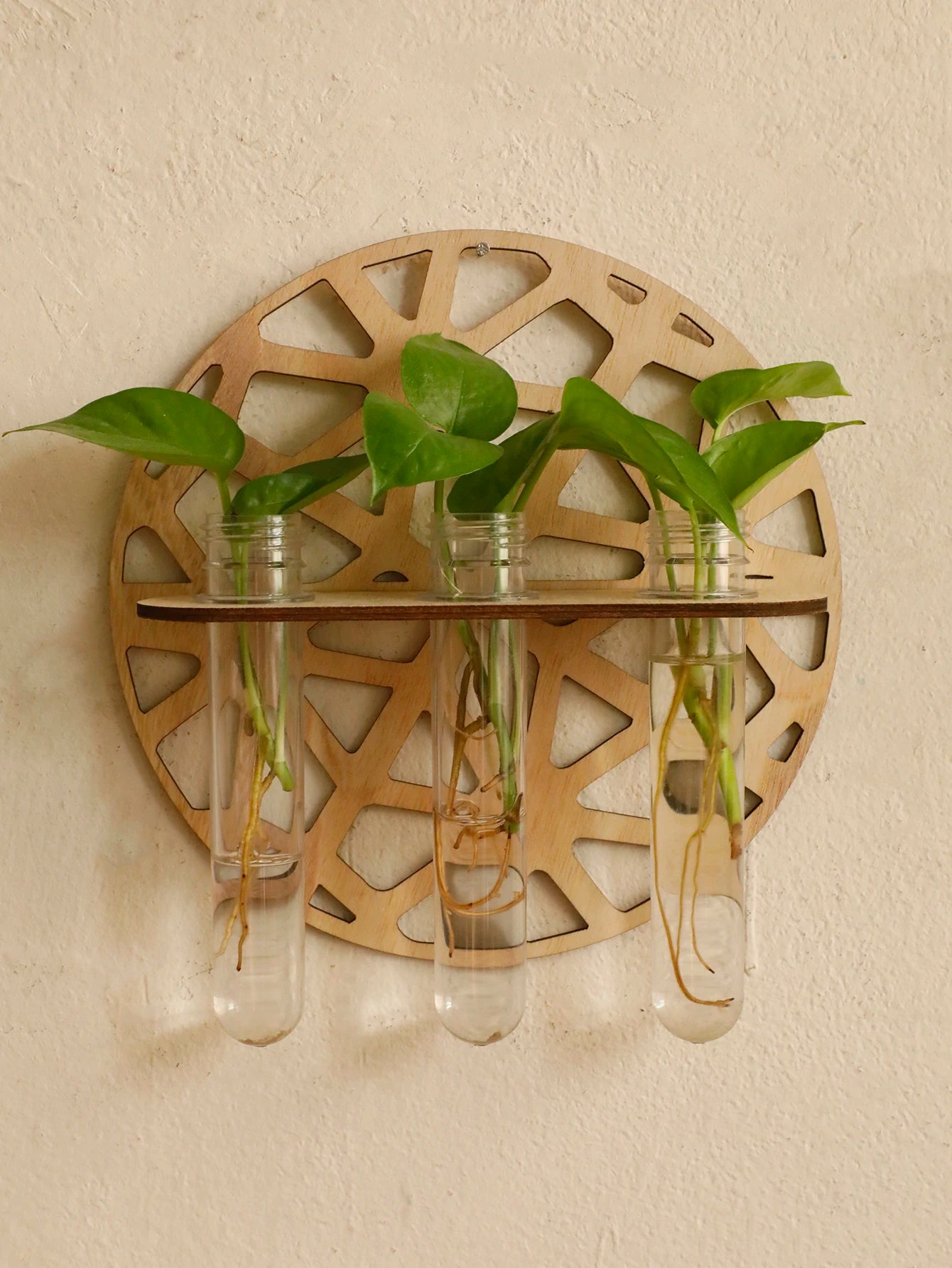 Harmon Geometric Wall-Mount Wood Plant Propagation Vase Rack