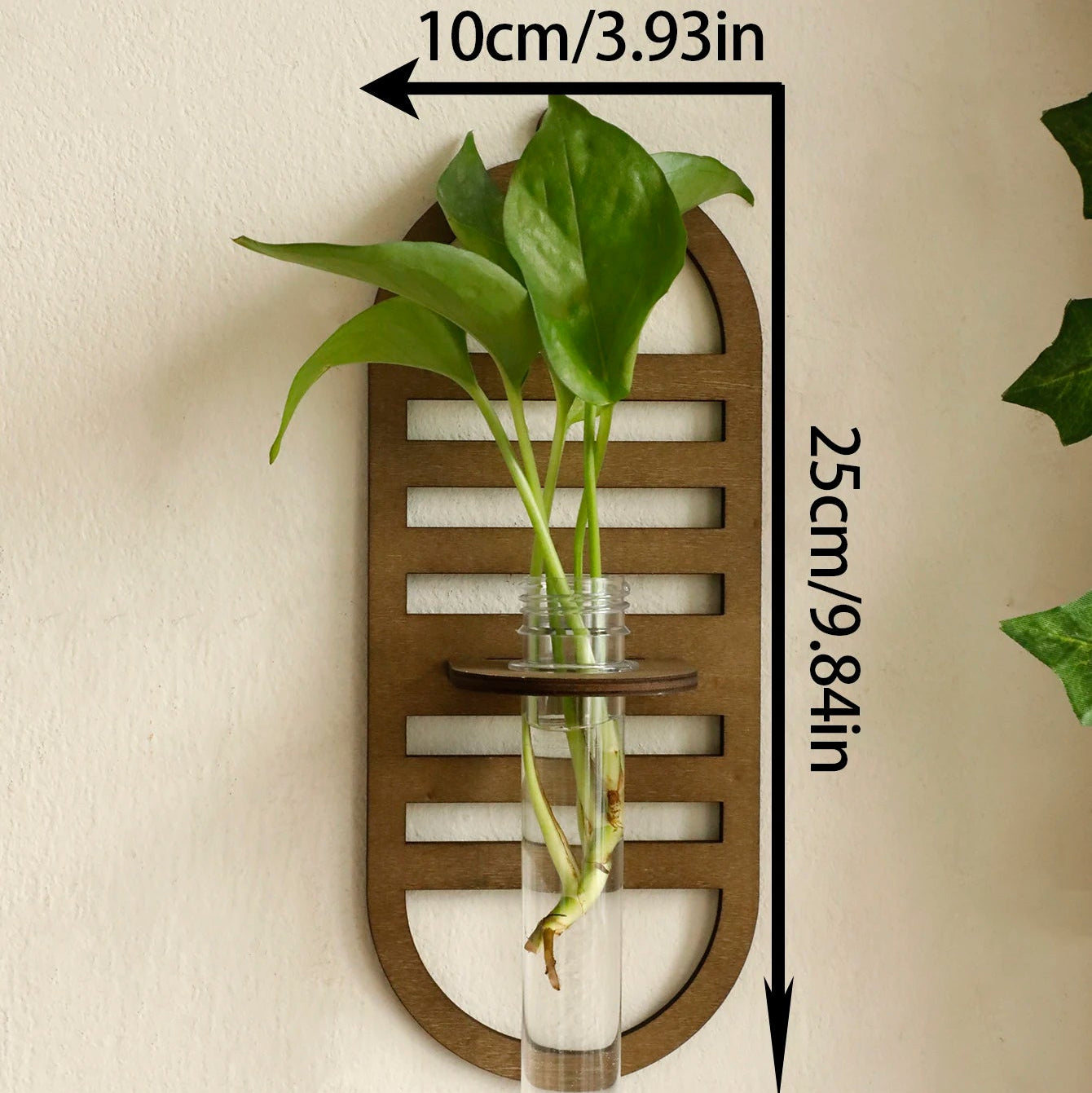 Larkspur Wall-Mount Plant Vase Holder