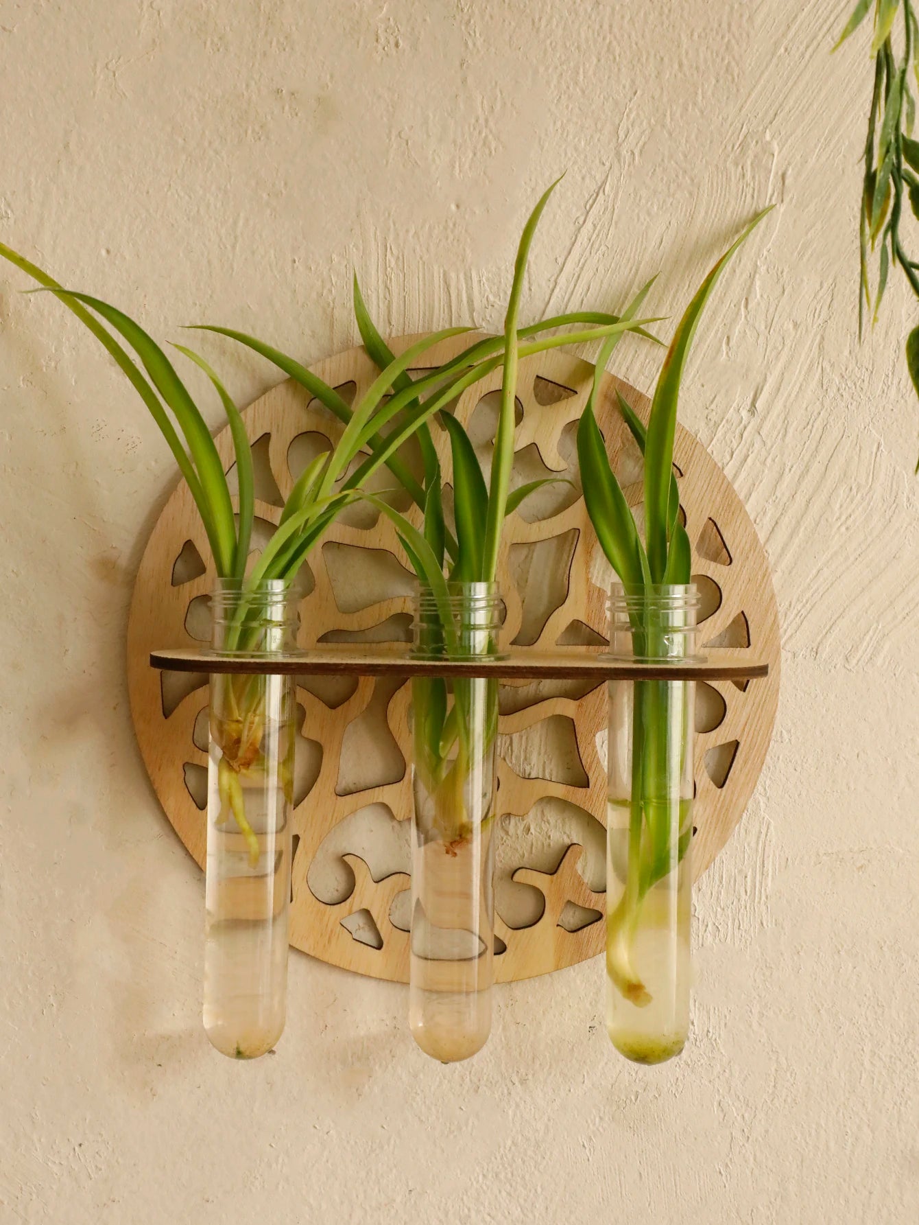Harmon Geometric Wall-Mount Wood Plant Propagation Vase Rack