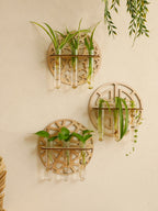 Harmon Geometric Wall-Mount Wood Plant Propagation Vase Rack