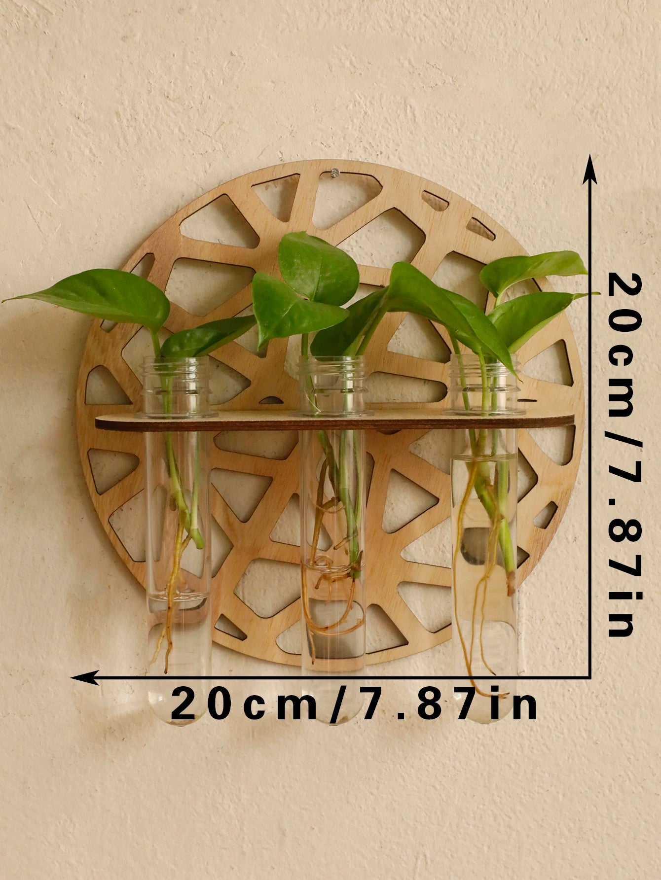 Harmon Geometric Wall-Mount Wood Plant Propagation Vase Rack