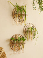 Harmon Geometric Wall-Mount Wood Plant Propagation Vase Rack