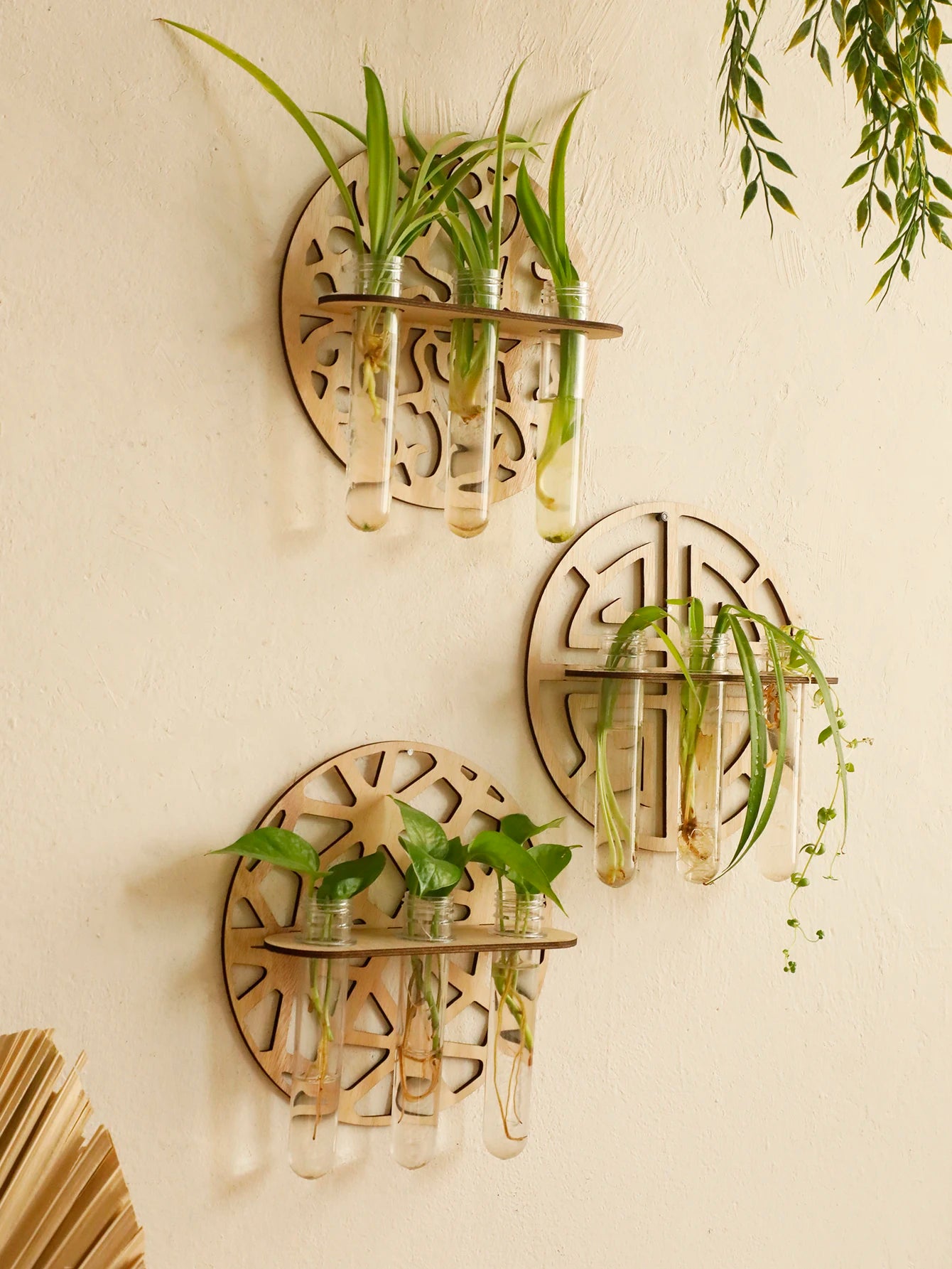 Harmon Geometric Wall-Mount Wood Plant Propagation Vase Rack