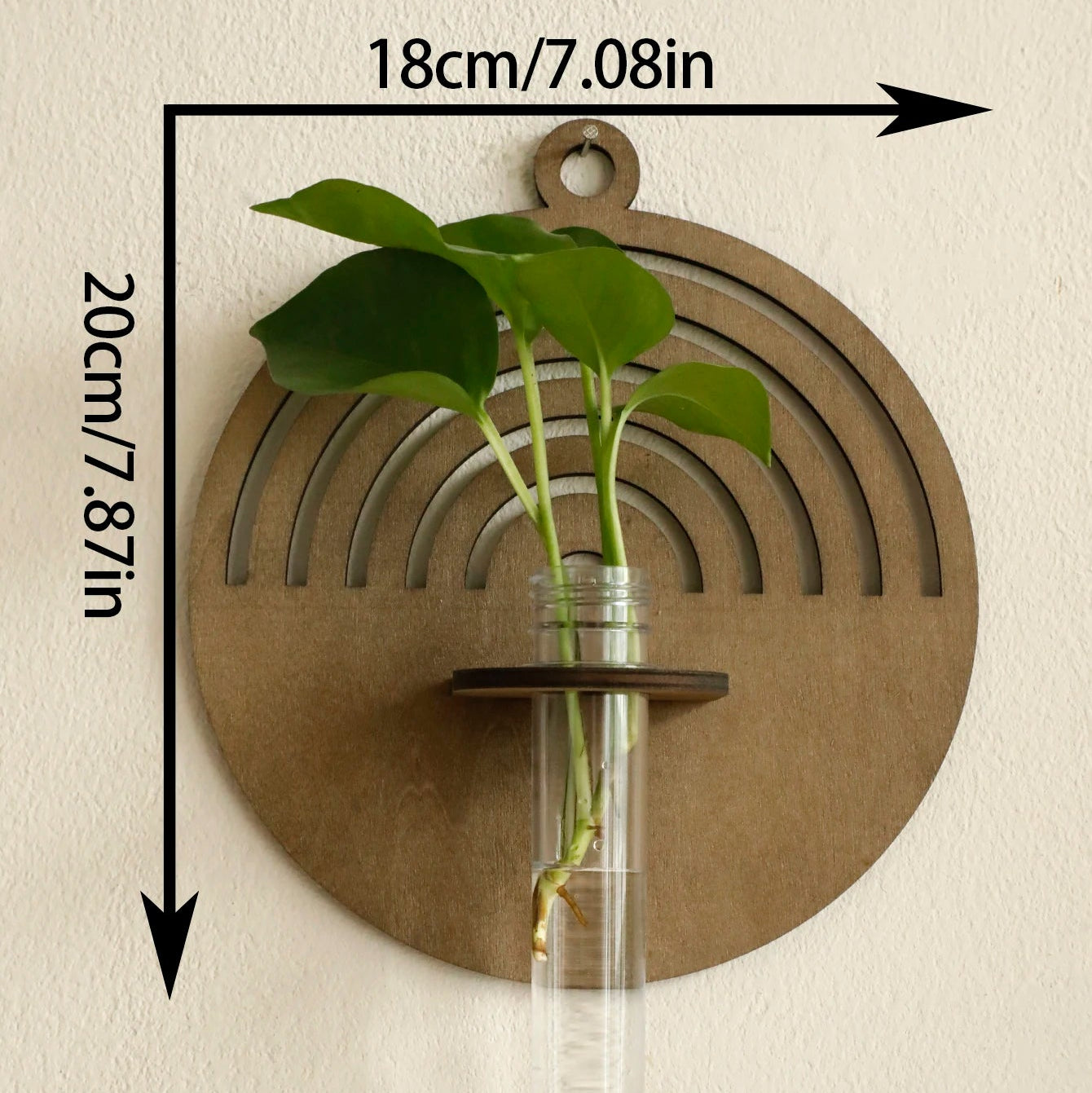 Larkspur Wall-Mount Plant Vase Holder