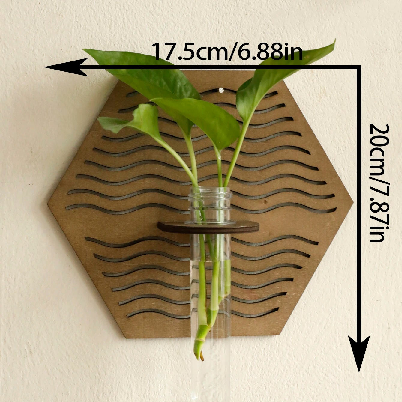 Larkspur Wall-Mount Plant Vase Holder