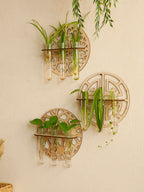 Harmon Geometric Wall-Mount Wood Plant Propagation Vase Rack