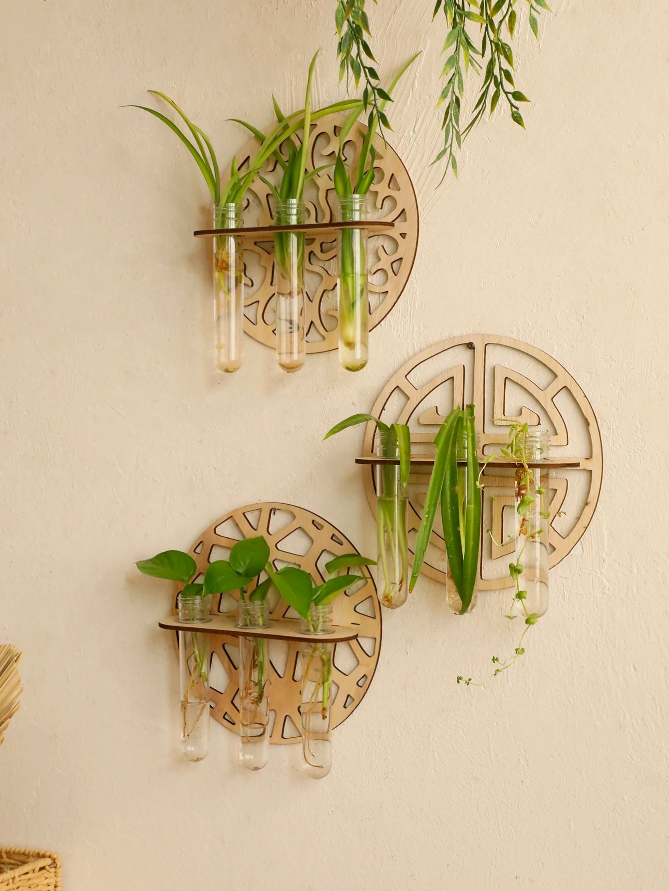 Harmon Geometric Wall-Mount Wood Plant Propagation Vase Rack
