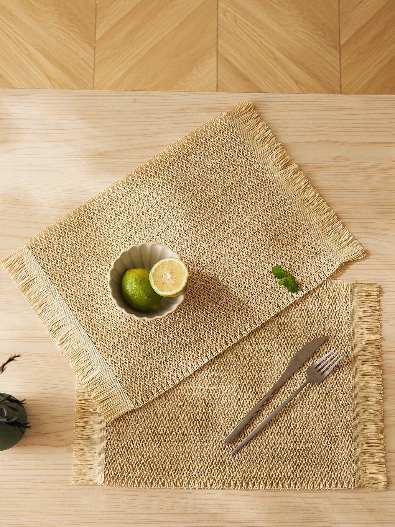 Roslin Woven Fringe Placemats