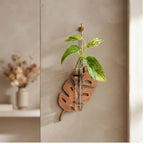Large Leaf wooden planters styled in a warm home setting