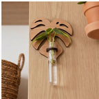 Small Leaf wooden planters styled in a warm home setting - 3
