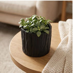 Black 7CM tall Green Plant Small Flower POTS, Mini Flower POTS Imitating Tree Bark, Exquisite Household Flower POTS lifestyle photo - 2