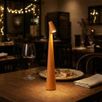 Sculptura Tall Aluminum Desk Lamp